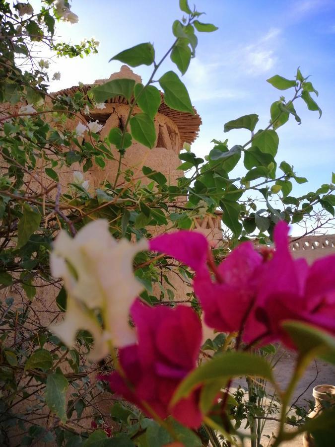 La Gazelle Bleue Otel Merzouga Dış mekan fotoğraf